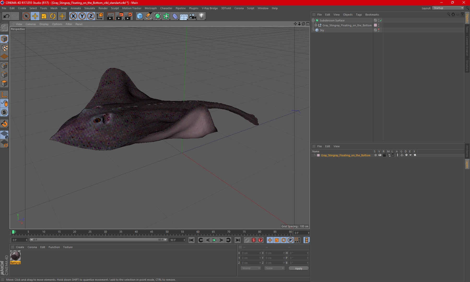 3D Gray Stingray Floating on the Bottom https://p.turbosquid.com/ts-thumb/AJ/zblW3X/EV/graystingrayfloatingonthebottomvray3dmodel028/jpg/1723652276/1920x1080/fit_q87/5cd6be4803dc489eeb26a6fd143a6bd0a6540ba8/graystingrayfloatingonthebottomvray3dmodel028.jpg