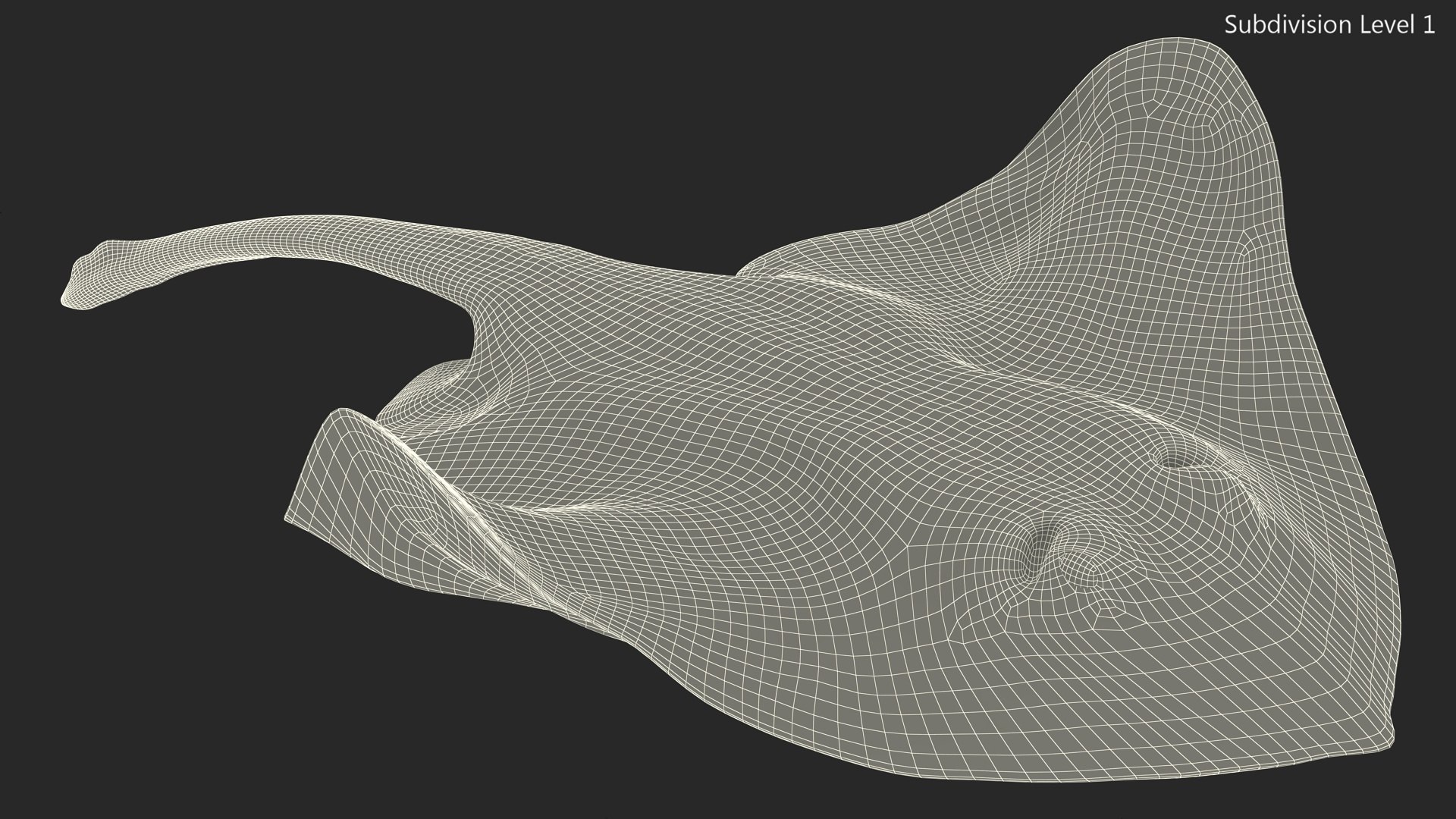 3D Gray Stingray Floating on the Bottom https://p.turbosquid.com/ts-thumb/AJ/zblW3X/Py/graystingrayfloatingonthebottomvray3dmodel015/jpg/1723652233/1920x1080/fit_q87/733d201e92f37911954e7ee53d94b735449ccff0/graystingrayfloatingonthebottomvray3dmodel015.jpg