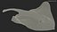 Gray Stingray Floating on the Bottom