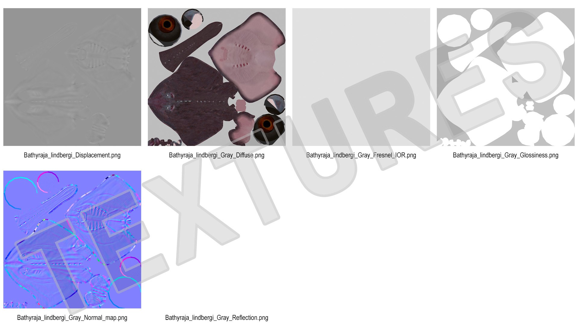 3D Gray Stingray Floating on the Bottom https://p.turbosquid.com/ts-thumb/AJ/zblW3X/SN/graystingrayfloatingonthebottomvray3dmodel017/jpg/1723652245/1920x1080/fit_q87/a522bf002cfb145149f78bacf1eea764d60ddf2b/graystingrayfloatingonthebottomvray3dmodel017.jpg