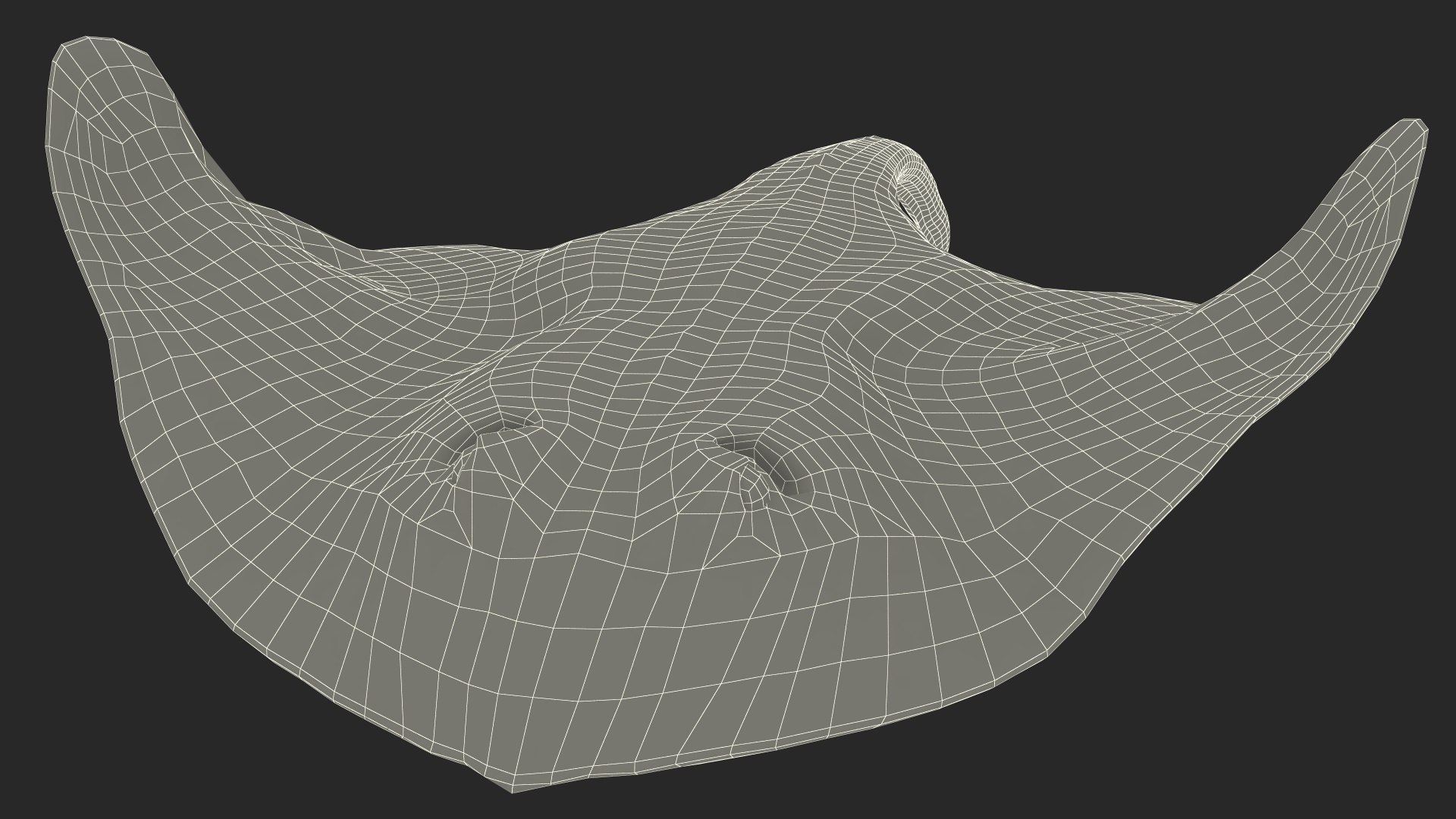3D Gray Stingray Floating on the Bottom https://p.turbosquid.com/ts-thumb/AJ/zblW3X/ej/graystingrayfloatingonthebottomvray3dmodel019/jpg/1723652256/1920x1080/fit_q87/0eda53e37c8914f67f3f380df4cee565f77c951d/graystingrayfloatingonthebottomvray3dmodel019.jpg