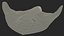 Gray Stingray Floating on the Bottom