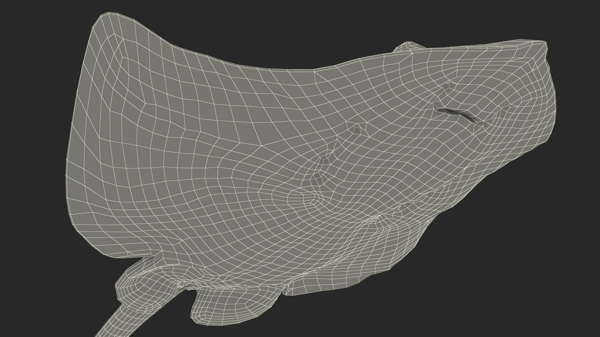 3D Gray Stingray Floating on the Bottom https://p.turbosquid.com/ts-thumb/AJ/zblW3X/i7/graystingrayfloatingonthebottomvray3dmodel021/jpg/1723652268/1920x1080/fit_q87/ae59345088a6eb59a0c369f9b3b8aedfaa72339a/graystingrayfloatingonthebottomvray3dmodel021.jpg