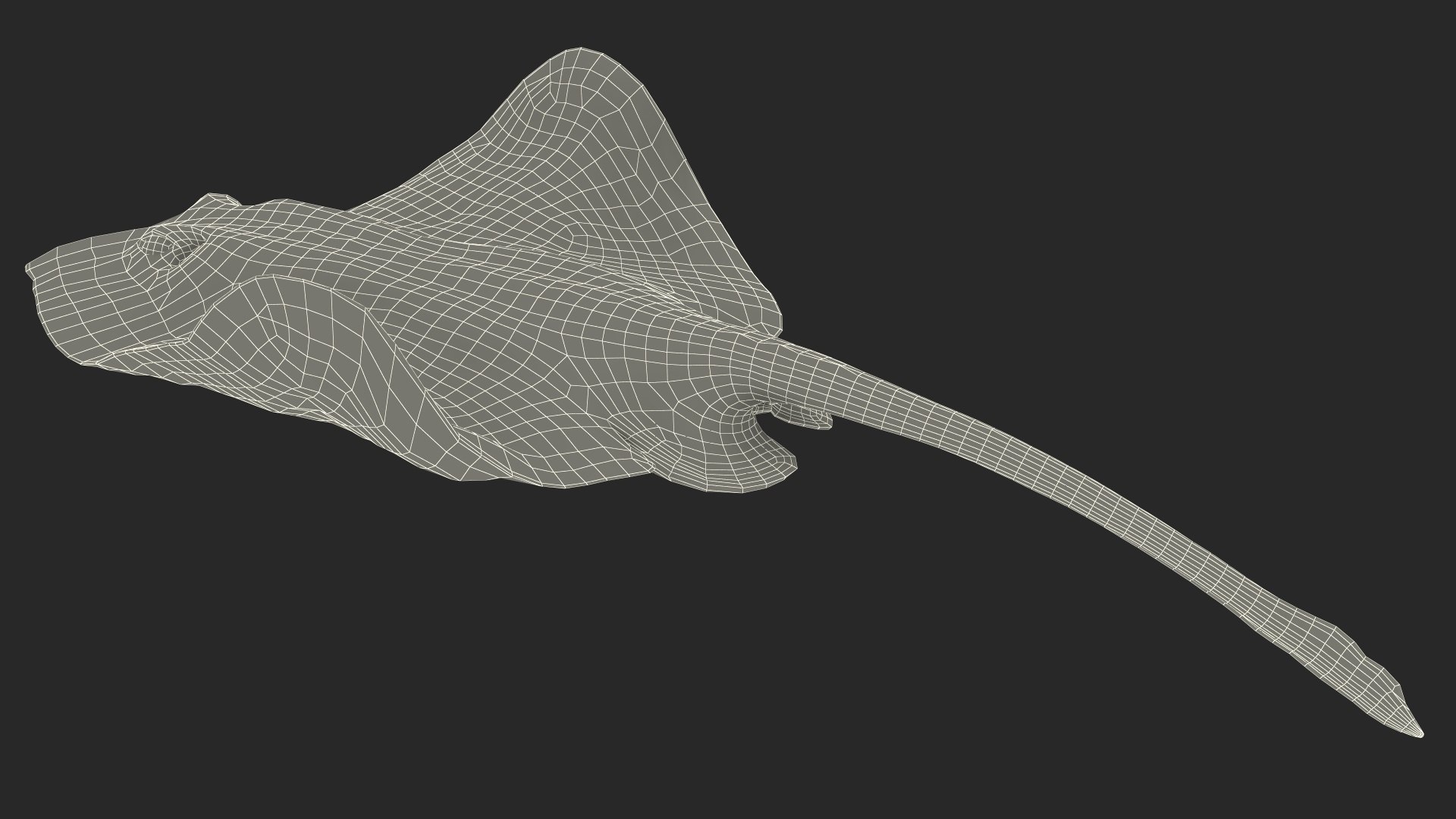 3D Gray Stingray Floating on the Bottom https://p.turbosquid.com/ts-thumb/AJ/zblW3X/oP/graystingrayfloatingonthebottomvray3dmodel020/jpg/1723652262/1920x1080/fit_q87/c1792fef98f68f60ca23a2bb7da7941126e780fd/graystingrayfloatingonthebottomvray3dmodel020.jpg