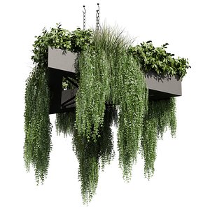 Collection plant vol 695 - hanging - ampelous - bush 3D model