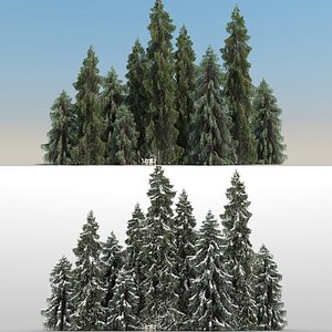 picea trees 10 spruce 3D model