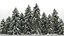 picea trees 10 spruce 3D model