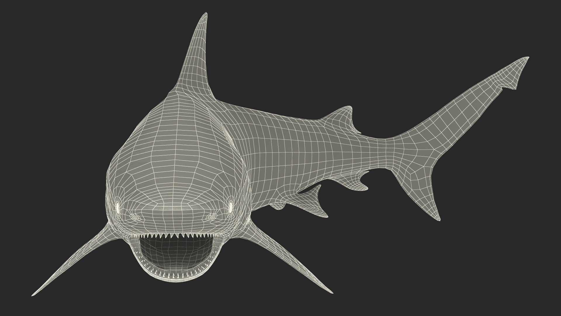 Carcharhinus Leucas Shark 3D https://p.turbosquid.com/ts-thumb/AK/MDjh5w/2R/carcharhinusleucassharkvray3dmodel022/jpg/1723080779/1920x1080/fit_q87/315d41728becaed64adfa44329971aab81e206b2/carcharhinusleucassharkvray3dmodel022.jpg