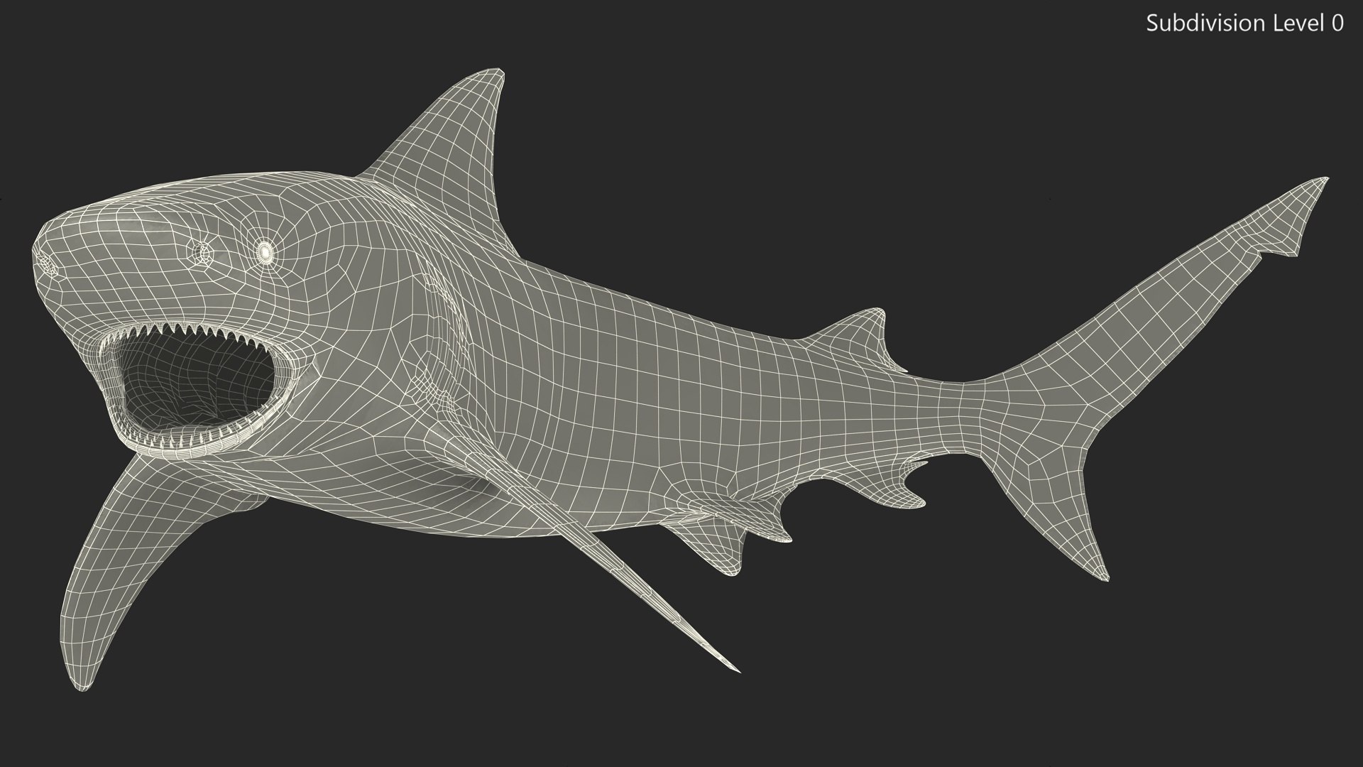 Carcharhinus Leucas Shark 3D https://p.turbosquid.com/ts-thumb/AK/MDjh5w/6X/carcharhinusleucassharkvray3dmodel017/jpg/1723080749/1920x1080/fit_q87/c7ecad1e7d7ec33d2df1cfc6e0e5e9e054029ab9/carcharhinusleucassharkvray3dmodel017.jpg