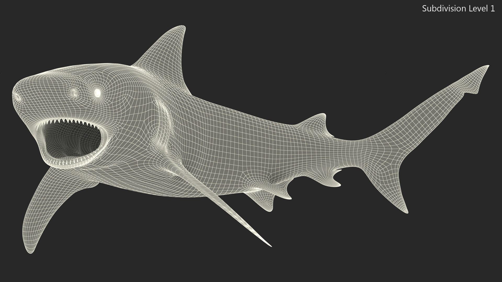Carcharhinus Leucas Shark 3D https://p.turbosquid.com/ts-thumb/AK/MDjh5w/Mb/carcharhinusleucassharkvray3dmodel018/jpg/1723080753/1920x1080/fit_q87/d8df497e5aab18676f4438a750215ad944b44597/carcharhinusleucassharkvray3dmodel018.jpg