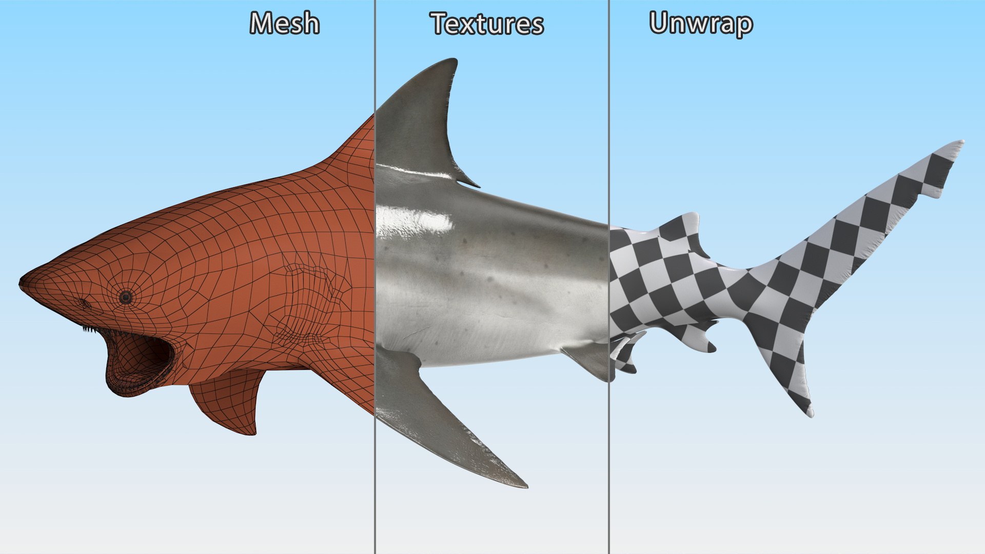 Carcharhinus Leucas Shark 3D https://p.turbosquid.com/ts-thumb/AK/MDjh5w/Zb/carcharhinusleucassharkvray3dmodel016/jpg/1723080742/1920x1080/fit_q87/39b7527e41bfb9d6a8f98ebaa09ddea9ff9b233d/carcharhinusleucassharkvray3dmodel016.jpg