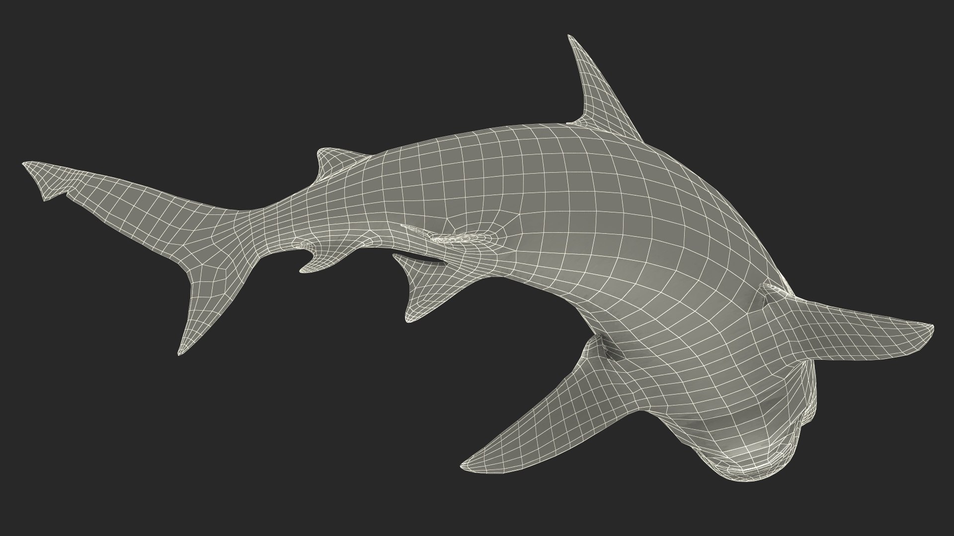 Carcharhinus Leucas Shark 3D https://p.turbosquid.com/ts-thumb/AK/MDjh5w/bS/carcharhinusleucassharkvray3dmodel024/jpg/1723080791/1920x1080/fit_q87/305a1e10304db59dcbb19f9cfa665f471569224d/carcharhinusleucassharkvray3dmodel024.jpg