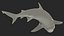 Carcharhinus Leucas Shark