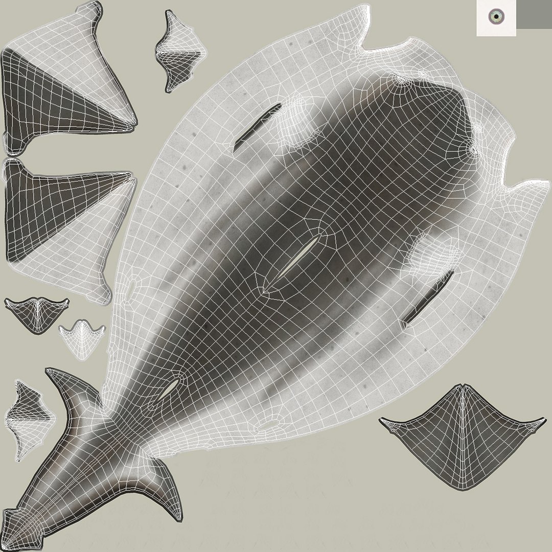 Carcharhinus Leucas Shark 3D https://p.turbosquid.com/ts-thumb/AK/MDjh5w/f0/carcharhinusleucassharkvray3dmodel019/jpg/1723080759/1920x1080/fit_q87/bf21513093f6c5a3bfed790cd704229881e27eb3/carcharhinusleucassharkvray3dmodel019.jpg