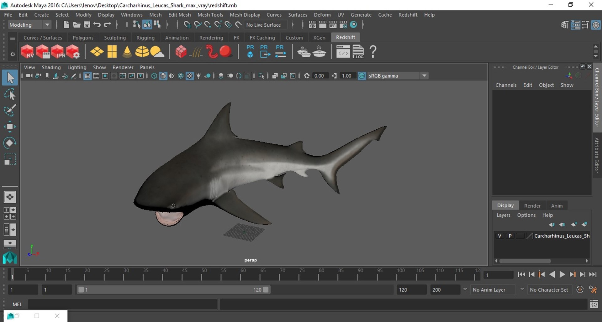 Carcharhinus Leucas Shark 3D https://p.turbosquid.com/ts-thumb/AK/MDjh5w/gR/carcharhinusleucassharkvray3dmodel037/jpg/1723080813/1920x1080/fit_q87/dfd35467749fffab97cca3cfe5f2c5f71a42ecc9/carcharhinusleucassharkvray3dmodel037.jpg