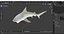 Carcharhinus Leucas Shark