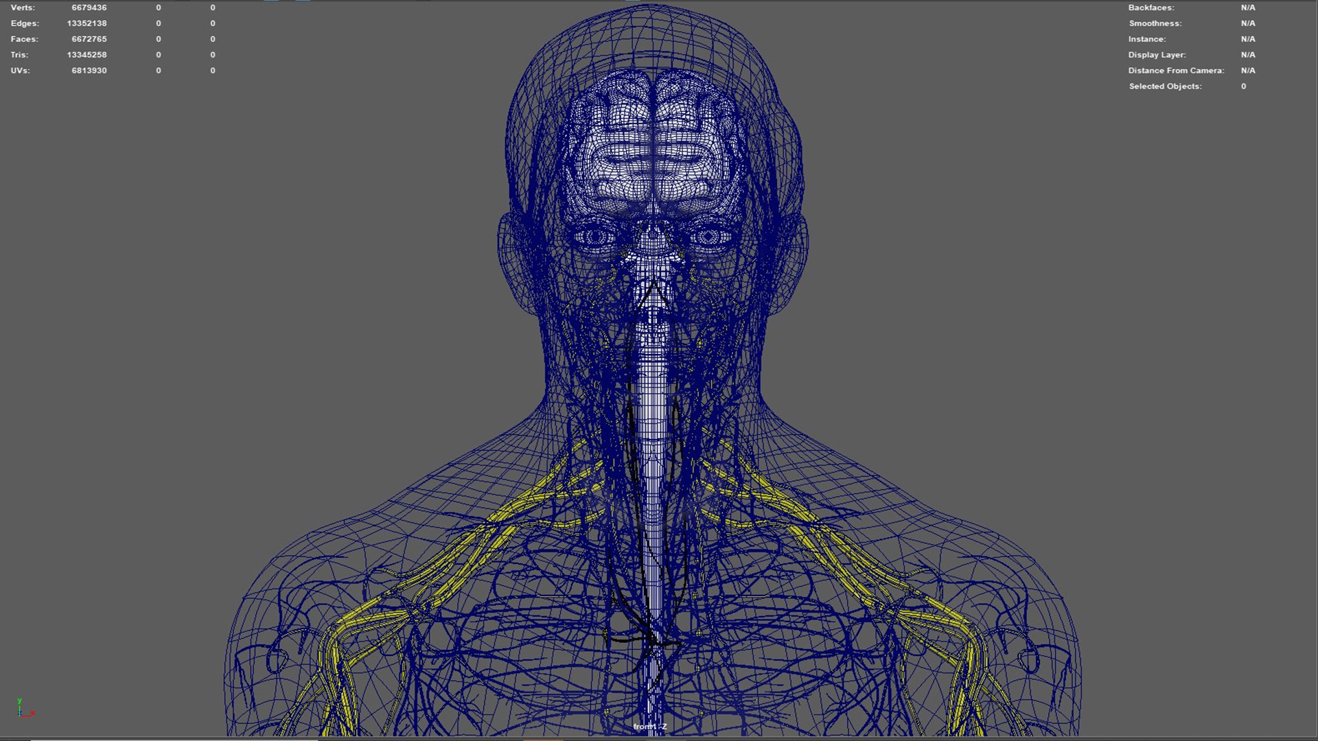 Human Natural Body With Nervous System With Brain 3D model https://p.turbosquid.com/ts-thumb/AK/OoYXtG/48/nervoussystemwithbrain03/jpg/1660717303/1920x1080/fit_q87/ddfe2b98c5fb8d00927ba9dcb4ea12c781e562d0/nervoussystemwithbrain03.jpg