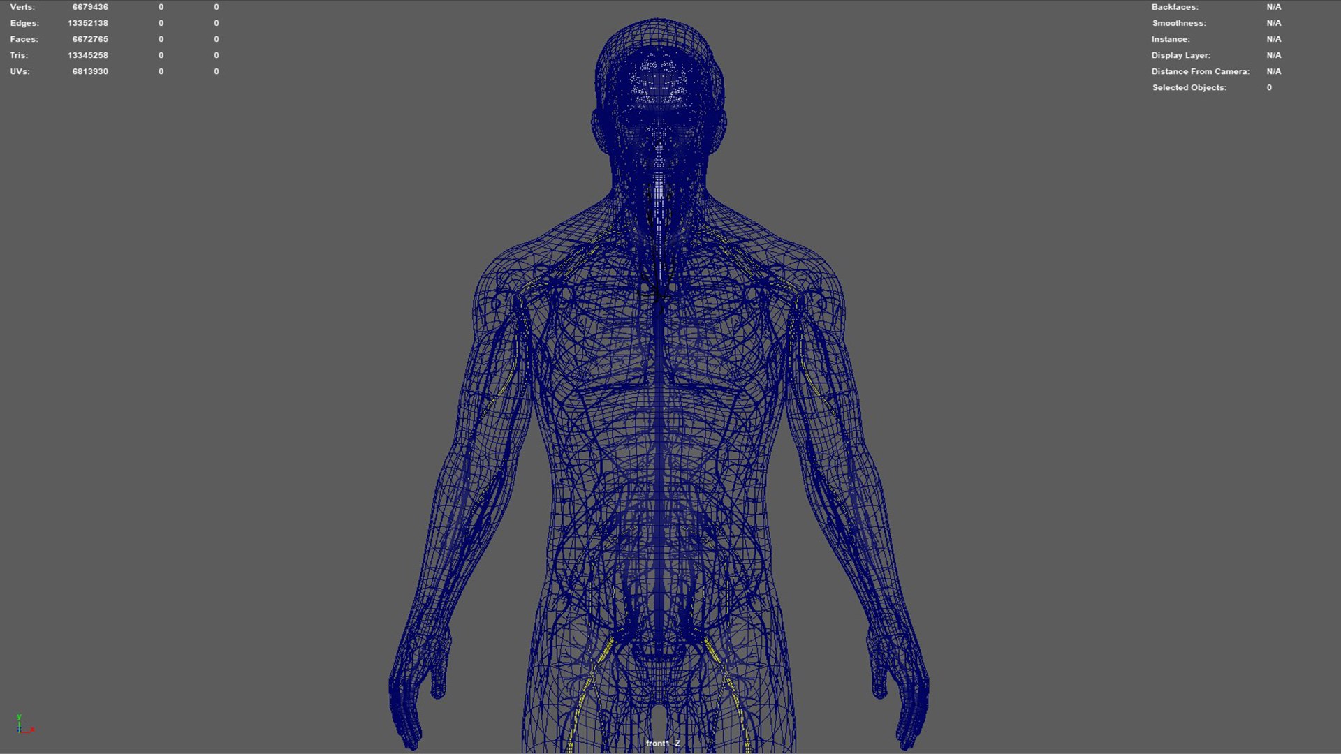Human Natural Body With Nervous System With Brain 3D model https://p.turbosquid.com/ts-thumb/AK/OoYXtG/E5/nervoussystemwithbrain04/jpg/1660717303/1920x1080/fit_q87/35cf0b6cc3999288c0e90f41de07459cb5c2e352/nervoussystemwithbrain04.jpg