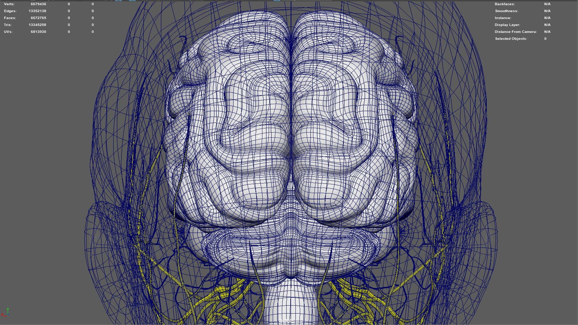Human Natural Body With Nervous System With Brain 3D model https://p.turbosquid.com/ts-thumb/AK/OoYXtG/bn/nervoussystemwithbrain05/jpg/1660717305/1920x1080/fit_q87/1603a41f5103dbde20beb338695780c3fd7eb51e/nervoussystemwithbrain05.jpg