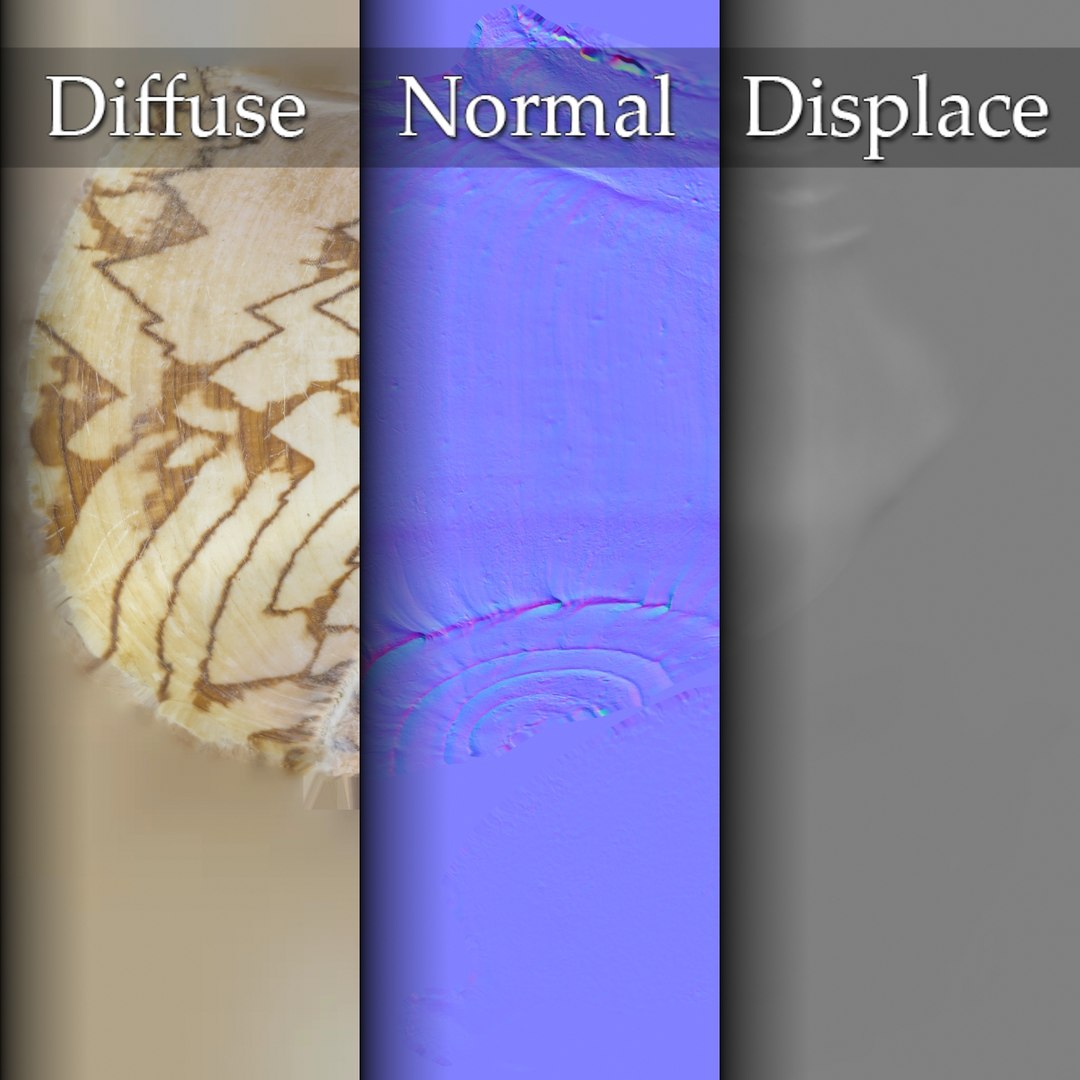 3D seashell noble volute cymbiola https://p.turbosquid.com/ts-thumb/AK/dg2HNB/nkvzm3zM/seashell26noblevolute_maps1/jpg/1498210846/1920x1080/fit_q87/ab45cbbdaa910a7e54a26e85e48a293a4405943f/seashell26noblevolute_maps1.jpg