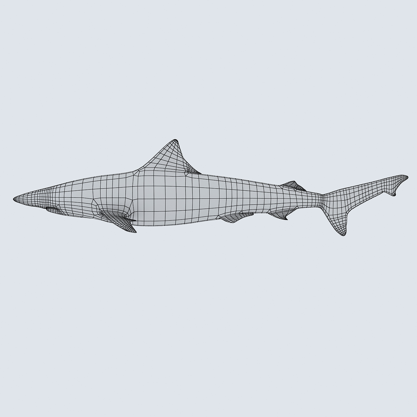 bronze whaler shark 3d model