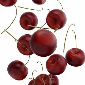cherry model