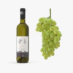 Wine Bottle with Grapes Collection 2 3D model