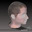 Human Head Anatomy