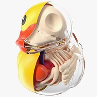 Bath Duck Anatomy Glass Half Shell