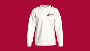 Men Printed Raglan Sweatshirt With Patch - Streets 3D