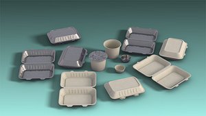 Disposable Container