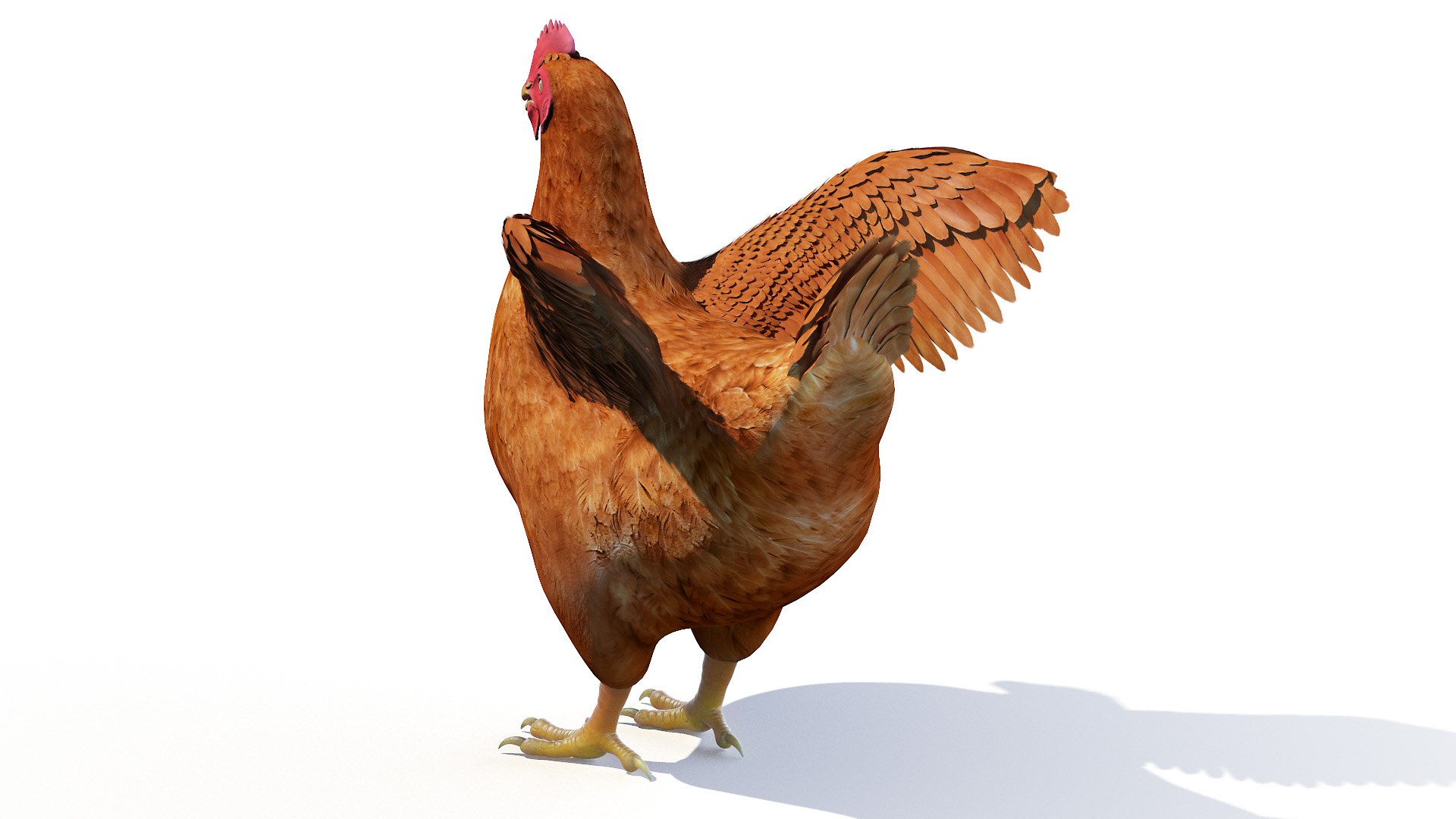3D Chicken Body Skeleton and Muscles Static model https://p.turbosquid.com/ts-thumb/AL/iw7pRY/4u/chicken_body0002/jpg/1654967218/1920x1080/fit_q87/1079e55ed1103a7c83757769cf6f7771b7406abd/chicken_body0002.jpg