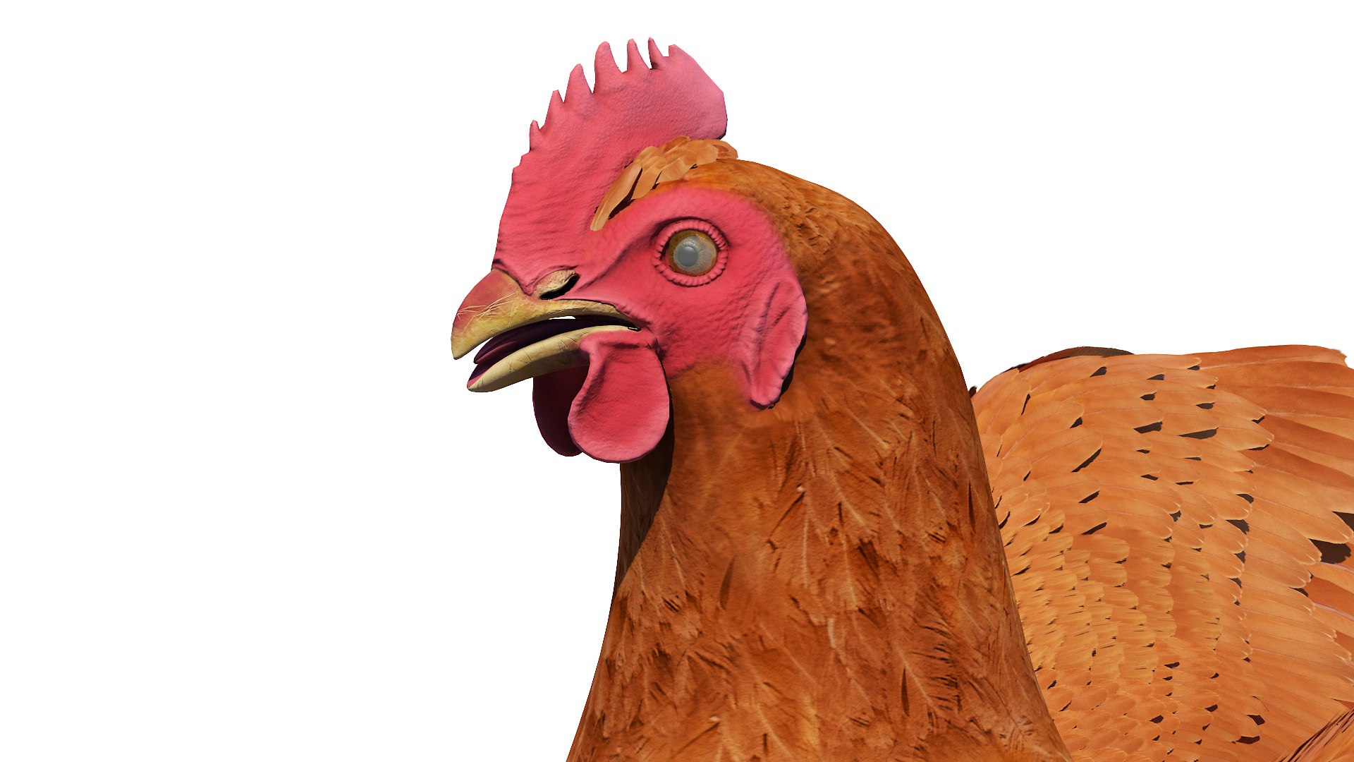 3D Chicken Body Skeleton and Muscles Static model https://p.turbosquid.com/ts-thumb/AL/iw7pRY/aH/chicken_body0007/jpg/1654967221/1920x1080/fit_q87/d810e01721ef8d2d927398d7507af0f8c8bb6d96/chicken_body0007.jpg