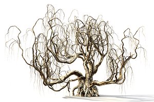 Spooky Animated Tree
