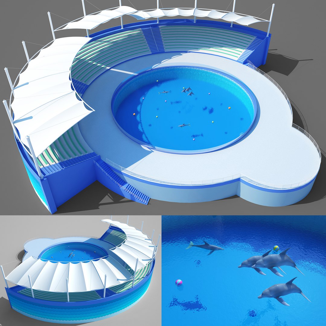 3D dolphin park water model - TurboSquid 1638175