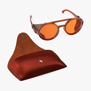 Sunglasses with Leather Case Collection 3D