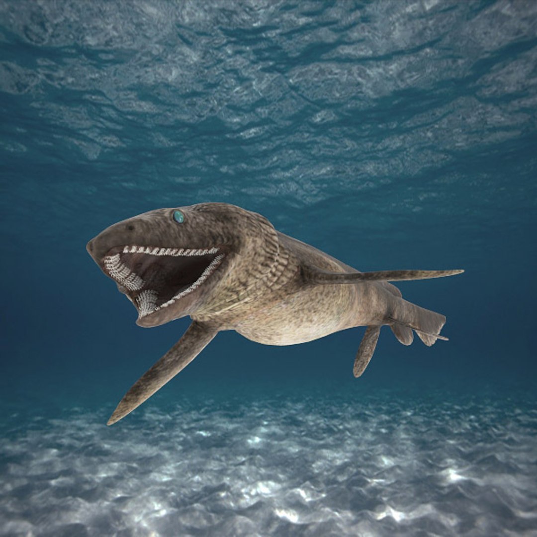 Frilled Shark 3d Model