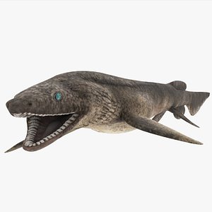 frilled shark 3d model