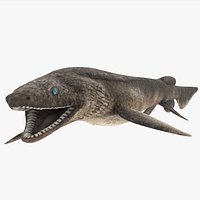 Frilled Shark