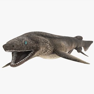 Frilled Shark