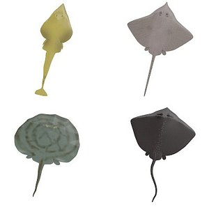 stingray sting 3d model