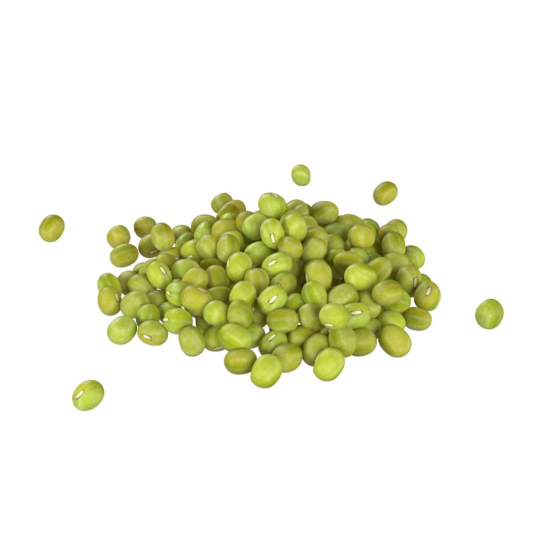 Mung bean pile model https://p.turbosquid.com/ts-thumb/AM/90DvZY/0M/squid/jpg/1745474113/1920x1080/fit_q87/3eaf63ff09301364d2936ef2544f5a2e679e56b9/squid.jpg