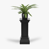 Column salvatore