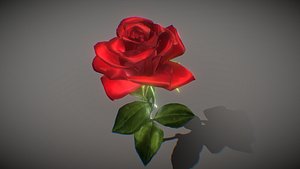 3D Rose model