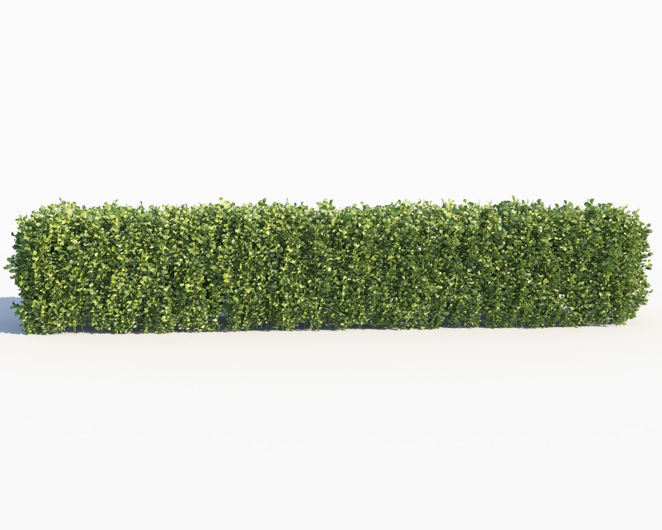 scatterable hedge 3d max https://p.turbosquid.com/ts-thumb/AM/UuocqQ/EnmKWEji/hedge_4/jpg/1479571316/1920x1080/fit_q87/a7a8dd188e767517ed8c7a2e27777fca111e3226/hedge_4.jpg