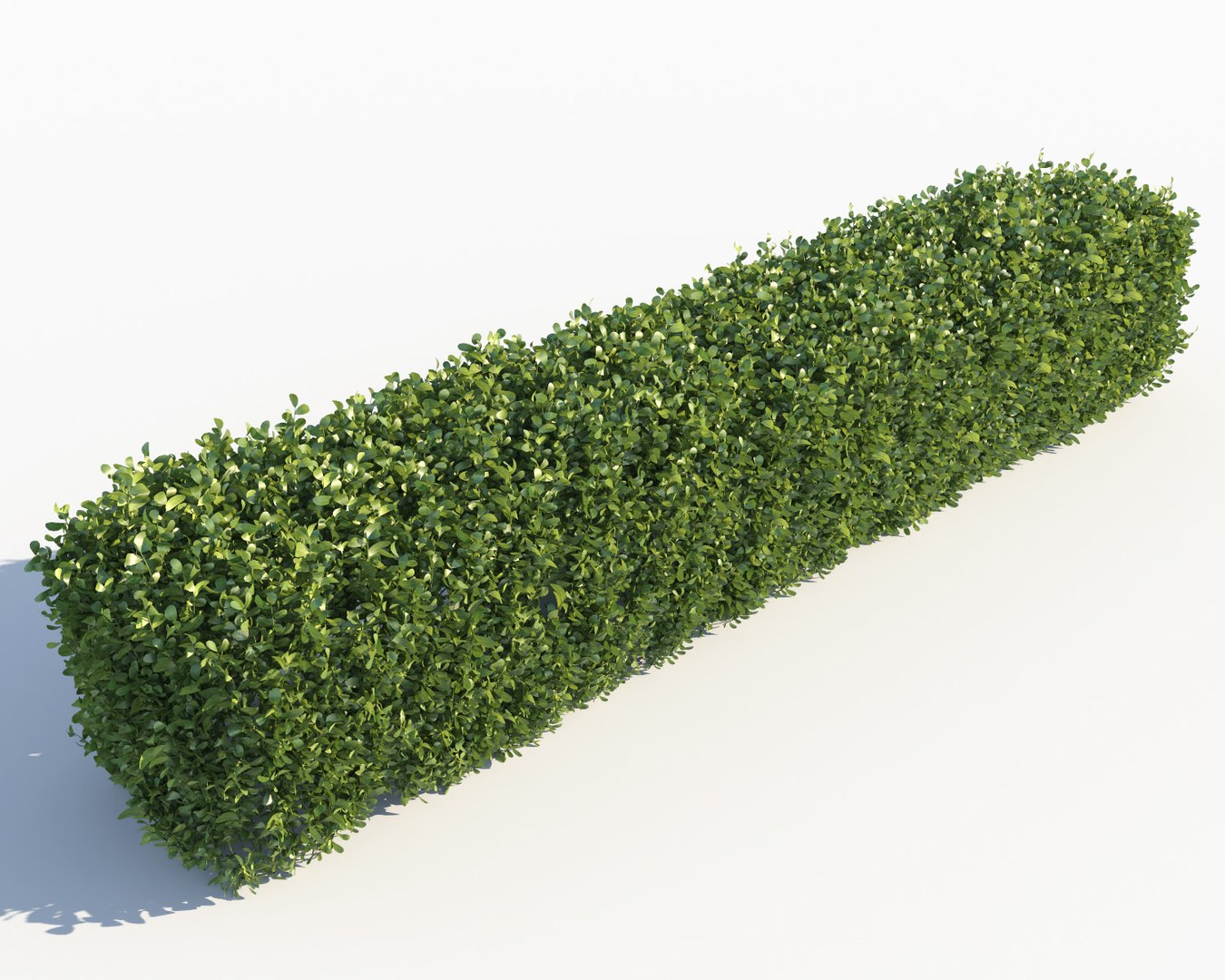 scatterable hedge 3d max https://p.turbosquid.com/ts-thumb/AM/UuocqQ/TNUJWRPT/hedge_2/jpg/1479571309/1920x1080/fit_q87/7c5faf907e9c9f3ced100ec636926a5daaa3d149/hedge_2.jpg