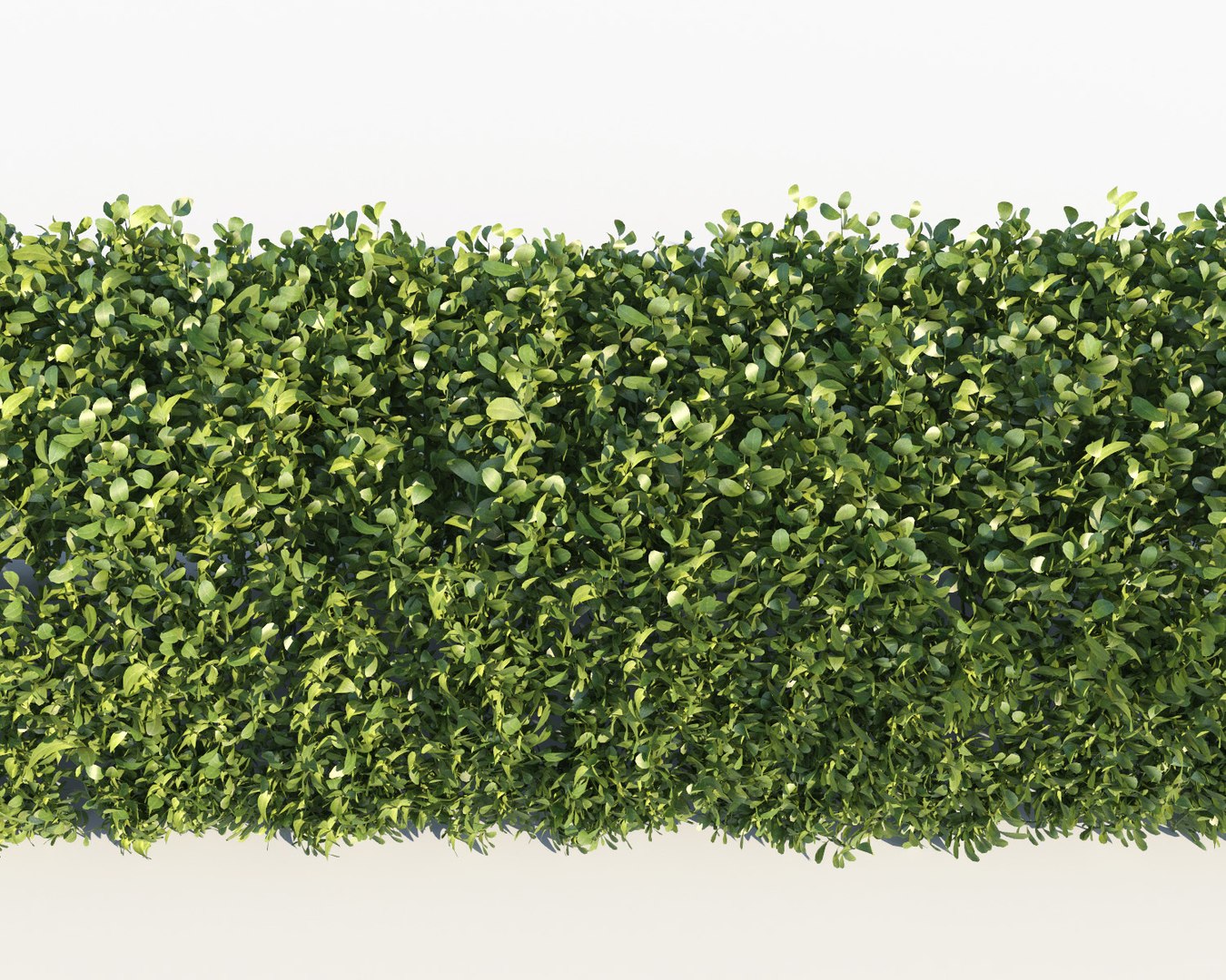 scatterable hedge 3d max https://p.turbosquid.com/ts-thumb/AM/UuocqQ/VILqxNFP/hedge_5/jpg/1479571316/1920x1080/fit_q87/6ba0a0d4044ff8e75909d916e462f013da0baa5f/hedge_5.jpg