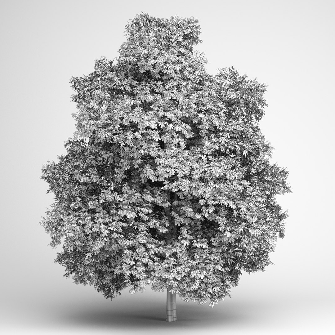 max volume 14 trees https://p.turbosquid.com/ts-thumb/AM/eQGd20/1YpGFP2I/cgaxis_models_14_20grid/jpg/1313678754/1920x1080/fit_q87/4e000eb527ee031f7a19782ed61d66b4dda7b6ce/cgaxis_models_14_20grid.jpg