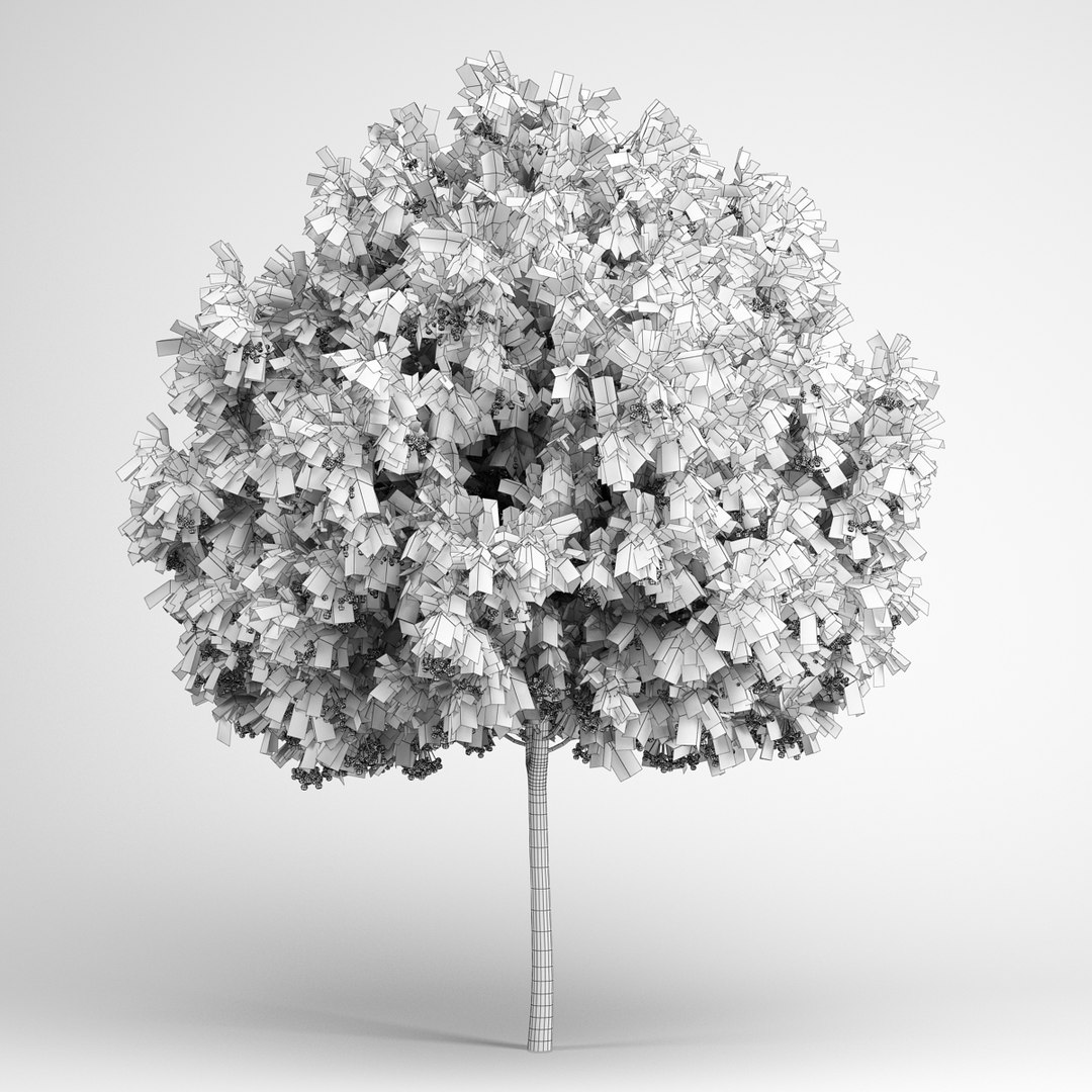 max volume 14 trees https://p.turbosquid.com/ts-thumb/AM/eQGd20/1opboqOf/cgaxis_models_14_15grid/jpg/1313678753/1920x1080/fit_q87/59609a659ba184e73cf4c930402b894f56340264/cgaxis_models_14_15grid.jpg