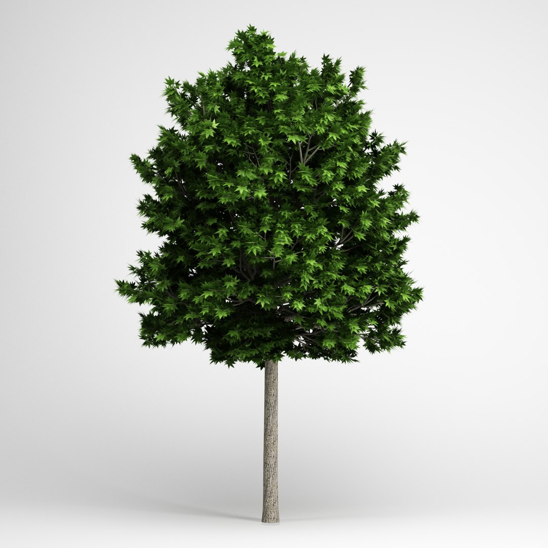 max volume 14 trees https://p.turbosquid.com/ts-thumb/AM/eQGd20/Mn3XEiqC/cgaxis_models_14_12/jpg/1313678753/1920x1080/fit_q87/6a9157275bae0b36c312b5281c8e61e63e6dca7a/cgaxis_models_14_12.jpg